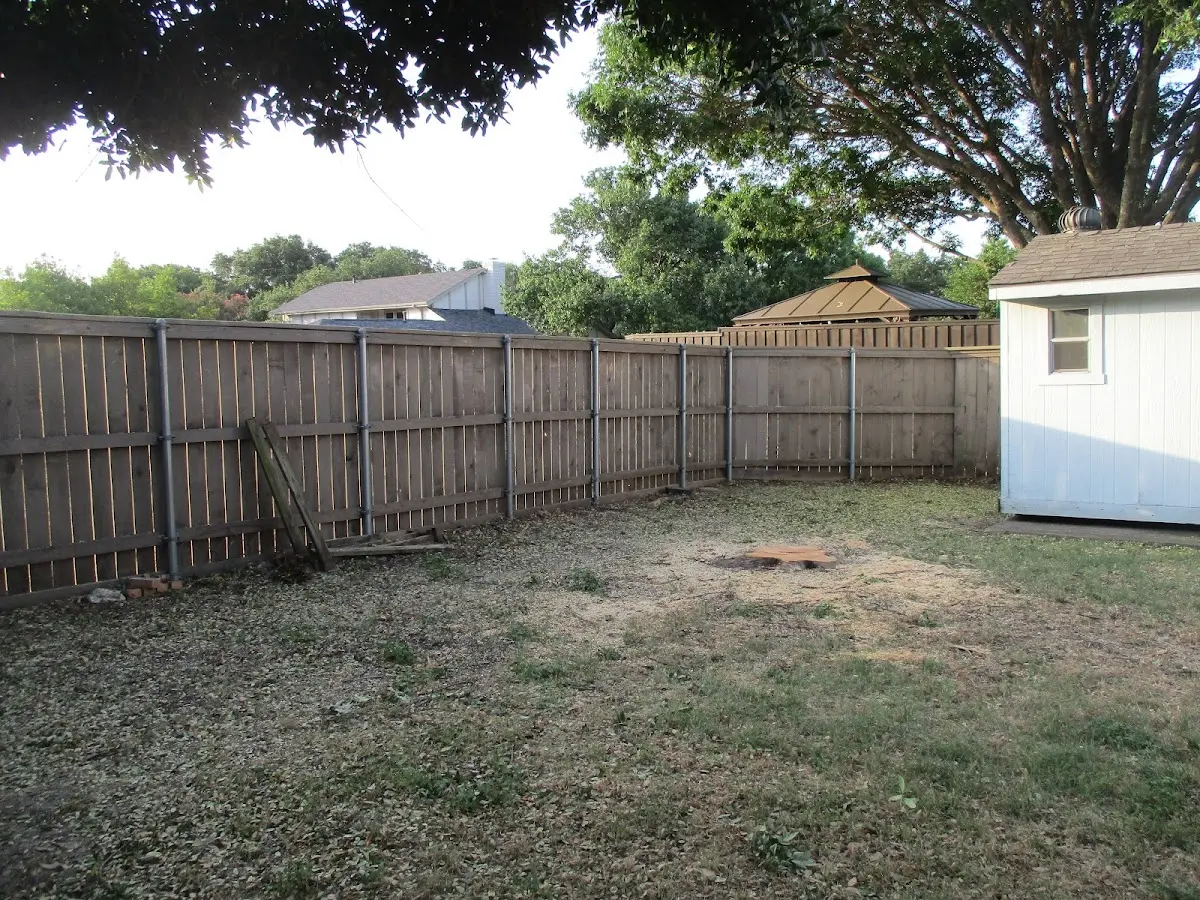 Cleared yard after professional tree removal in Michigan City