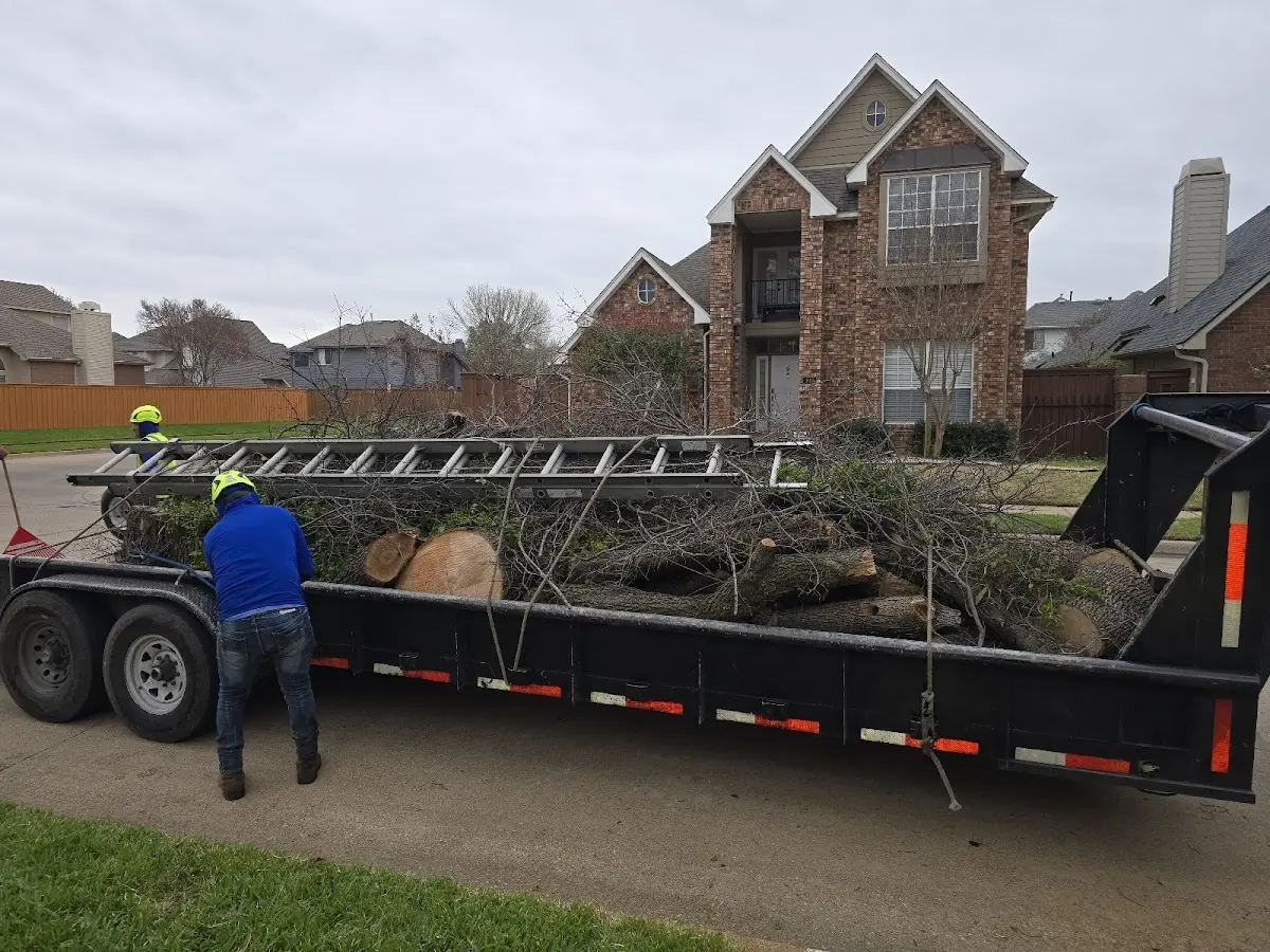 Expert Tree Pest Control with proper safety equipment in Michigan City